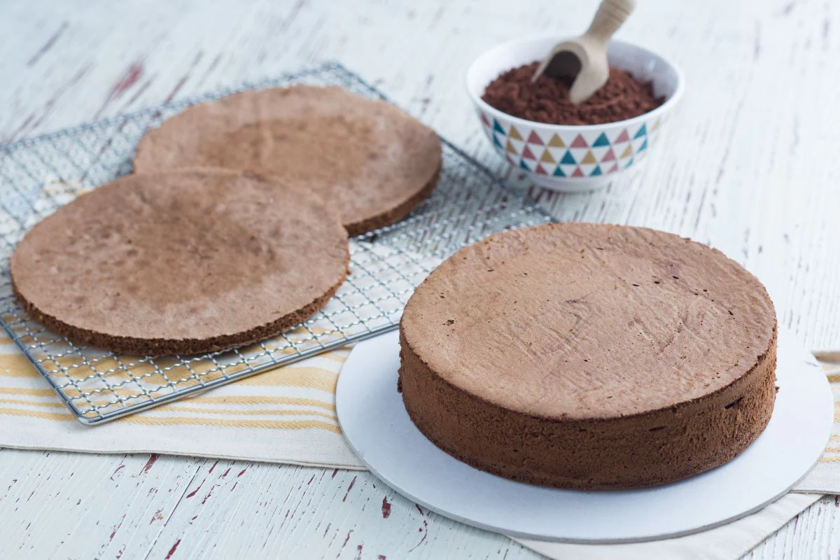 Cocoa sponge cake