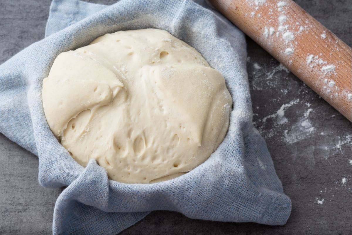 Sourdough starter