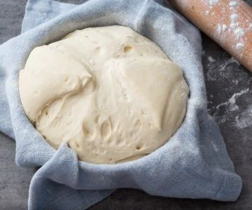 Sourdough starter