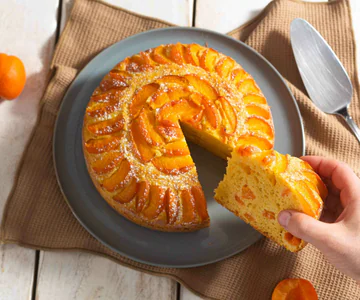 Apricot and Ricotta Cake