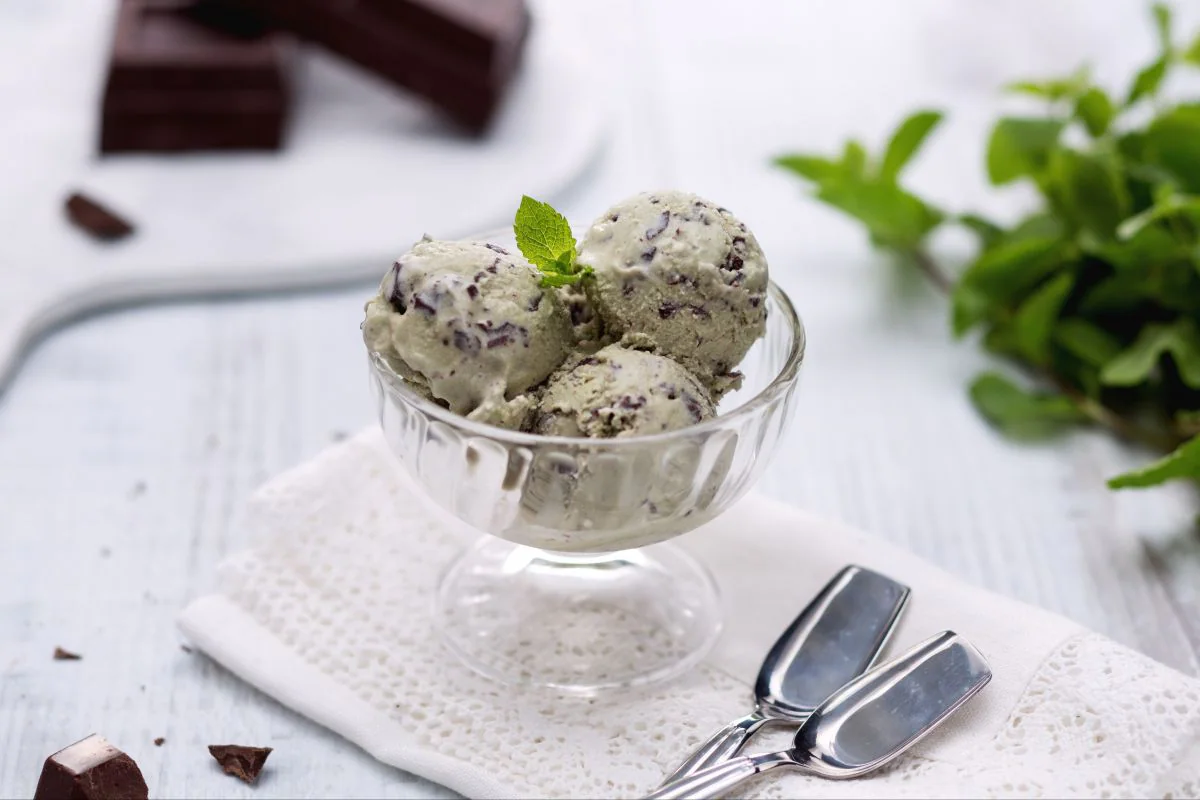 Mint and Chocolate Chip Ice Cream