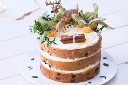 Woodland cake of panettone