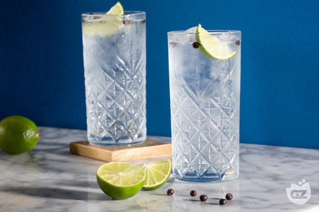 Gin Tonic - Italian recipes by GialloZafferano