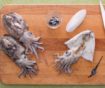 How to clean cuttlefish