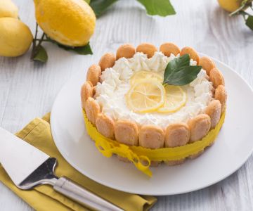 Lemon Charlotte