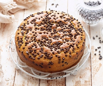 Chocolate Chip Cake