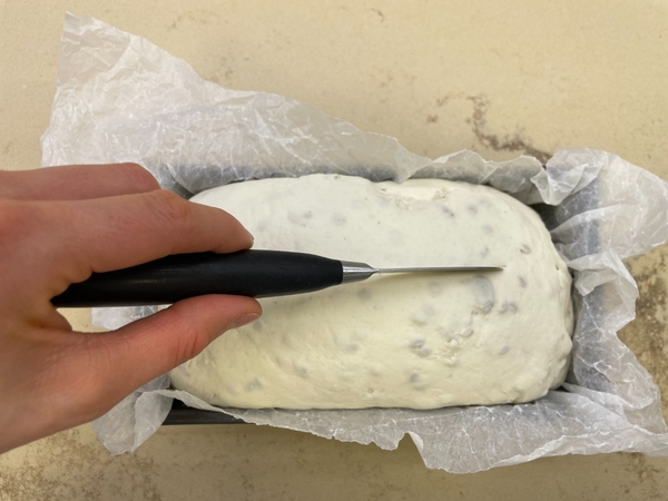 Gluten-free bread - step 2